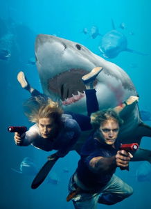 马里布鲨鱼攻击电影完整版