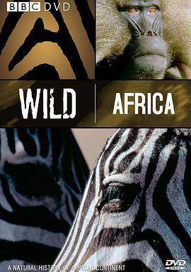 非洲野生动物主要有
